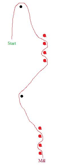 slalom_lyktstolpar_200909