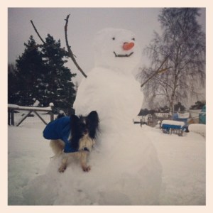 Snowman