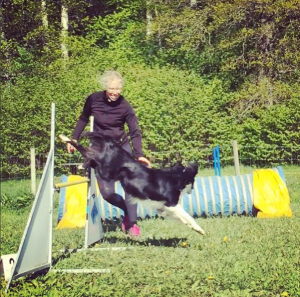 Skärmavbild 2015-10-13 kl. 17.00.08