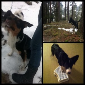 frametastic-3