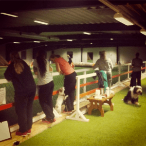 Skärmavbild 2013-11-30 kl. 00.57.51