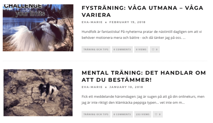 Skärmavbild 2018-02-19 kl. 07.45.15.png