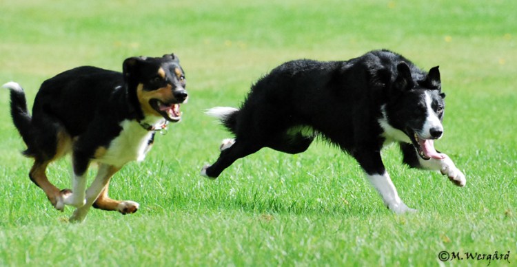 Ozz&ChDSC_0165 Ozz&ChDSC_0165