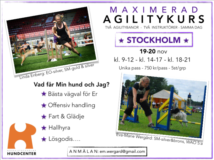 19-20 nov maximerad agility 2016.png