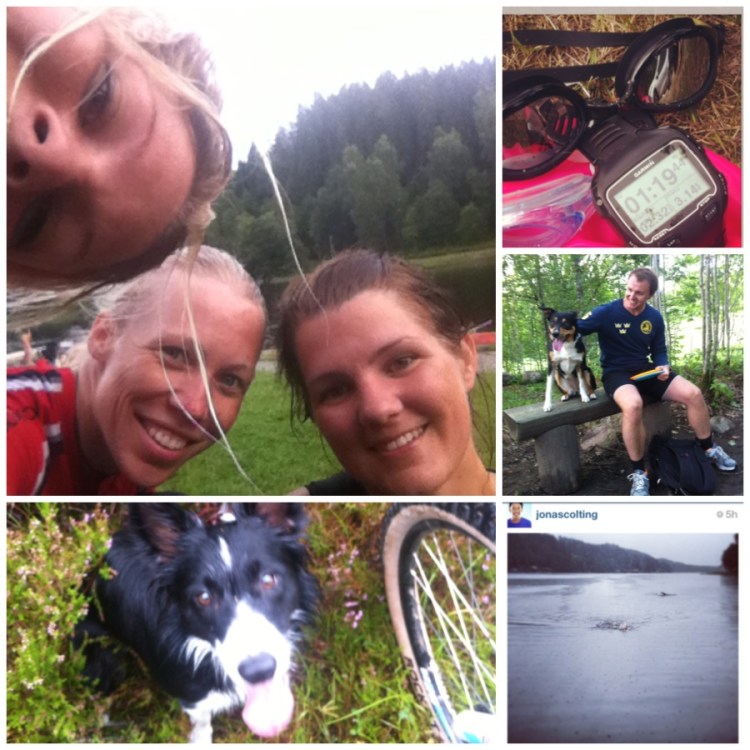 fantastiska sommaren 2013