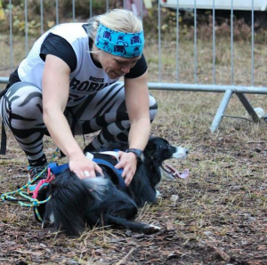 Skärmavbild 2015-10-27 kl. 11.59.39