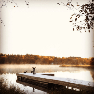 Skärmavbild 2015-10-28 kl. 18.43.56