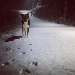 Skärmavbild 2015-12-28 kl. 22.39.50