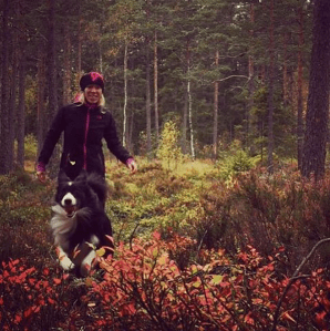 Skärmavbild 2015-10-16 kl. 15.33.54