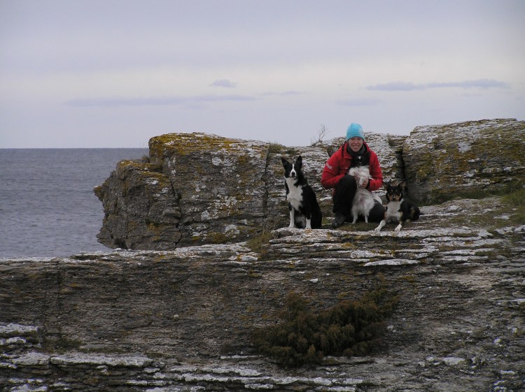 Gotland Ozelot Piraya Charlie