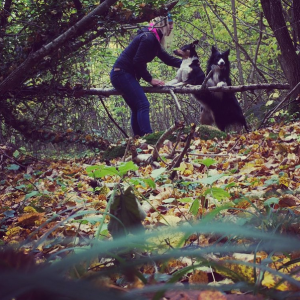 Skärmavbild 2015-10-17 kl. 17.44.36