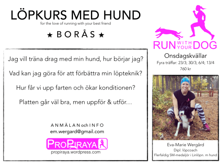 Skärmavbild 2016-02-02 kl. 21.35.12.png