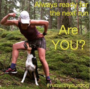 Skärmavbild 2015-10-09 kl. 12.37.47