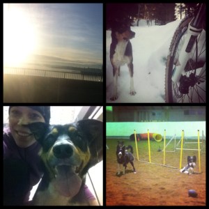 frametastic
