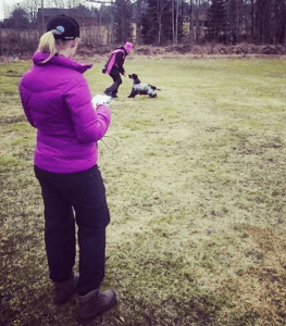 Skärmavbild 2016-04-03 kl. 20.38.33