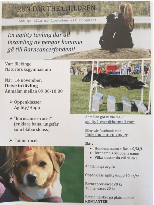 Skärmavbild 2015-11-04 kl. 14.18.57