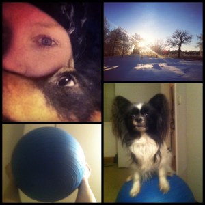 frametastic-1