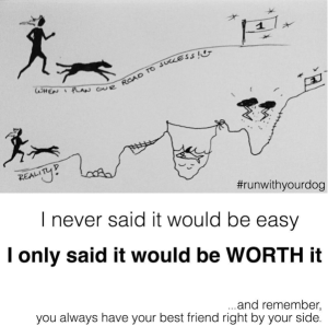 Skärmavbild 2015-11-09 kl. 17.42.56