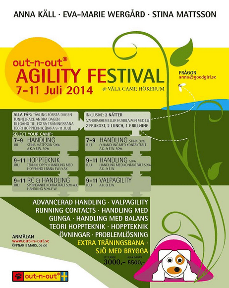 Agility festival