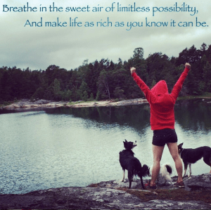 Skärmavbild 2015-06-28 kl. 16.42.20