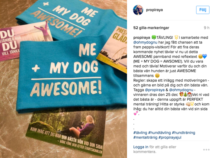 Skärmavbild 2016-12-20 kl. 20.16.38.png