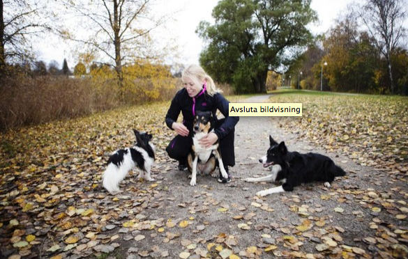 Skärmavbild 2014-10-25 kl. 01.03.11