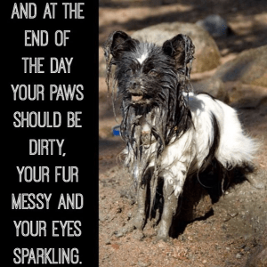 Skärmavbild 2015-12-16 kl. 20.14.45