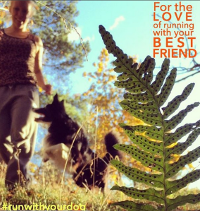 Skärmavbild 2015-10-23 kl. 19.36.44