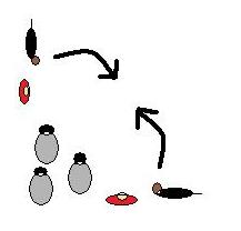 vallnings-flank_stop vallnings-flank_stop