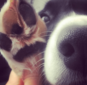 Skärmavbild 2016-01-23 kl. 11.53.20