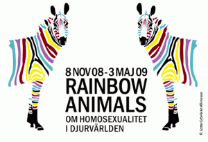 webbild-rainbow_st_sv