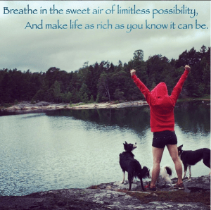 Skärmavbild 2015-10-12 kl. 19.55.37