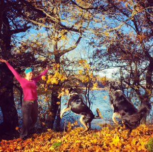 Skärmavbild 2015-10-29 kl. 16.04.33