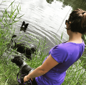 Skärmavbild 2015-07-02 kl. 10.09.47