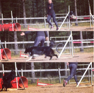 Skärmavbild 2015-10-06 kl. 15.56.57