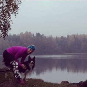 Skärmavbild 2015-10-17 kl. 17.44.10