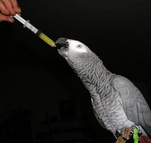 vätskeförstärkning