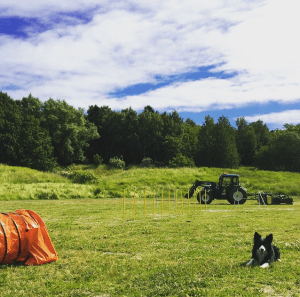 Skärmavbild 2015-07-02 kl. 10.06.49