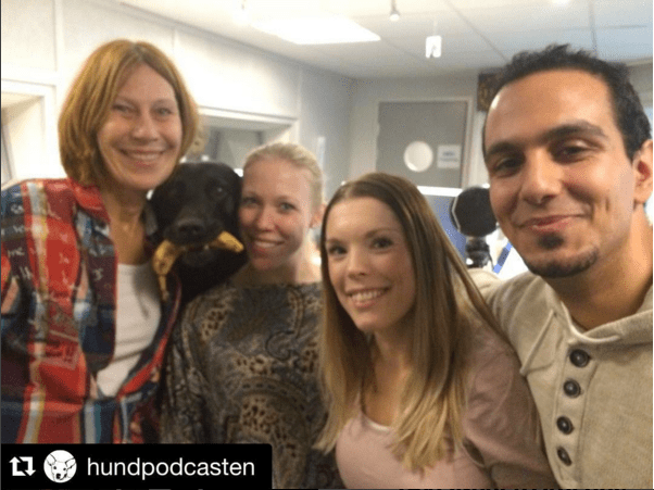 Skärmavbild 2016-02-01 kl. 12.53.08.png