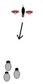 vallnings-smack_stop vallnings-smack_stop