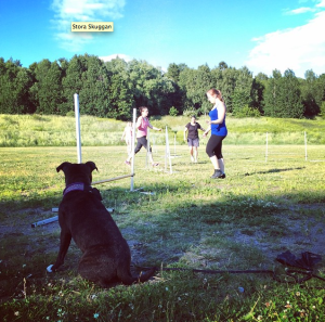 Skärmavbild 2015-07-02 kl. 10.06.30