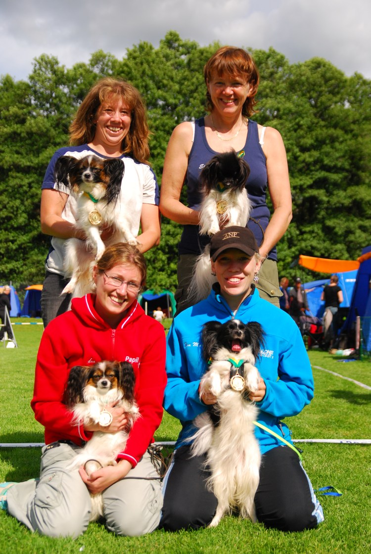 papillone_stars_-_boras_07_2