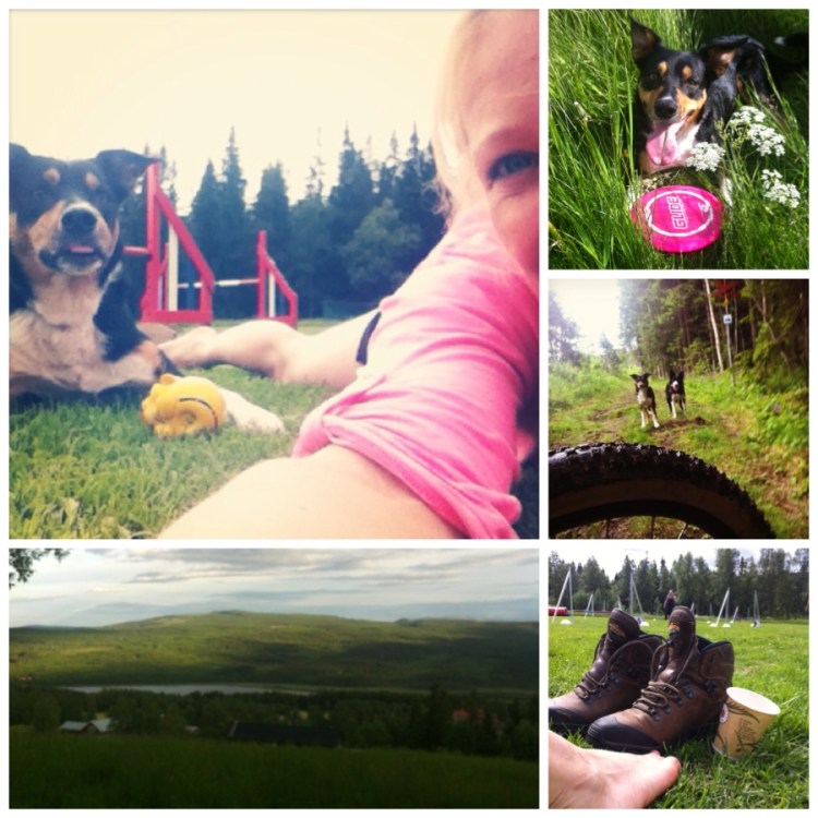 frametastic-2