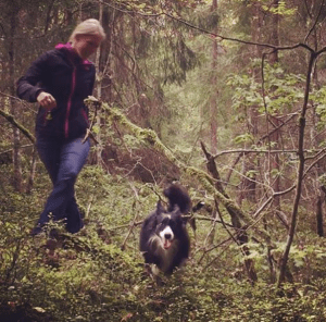 Skärmavbild 2015-10-02 kl. 08.29.23