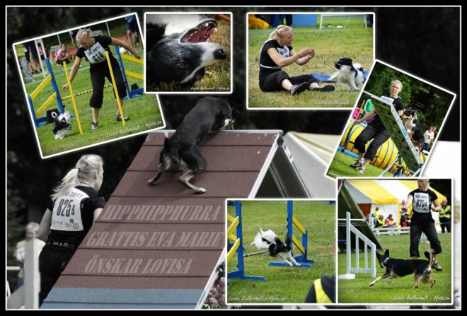 64898_10151186006525989_455447417_n