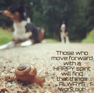 Skärmavbild 2016-08-16 kl. 20.56.10