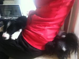 74832_10151409054315744_681506395_n