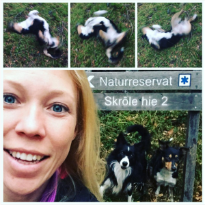 Skärmavbild 2015-11-03 kl. 19.38.55