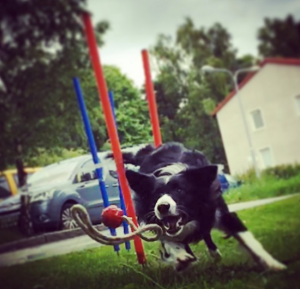 Skärmavbild 2015-06-28 kl. 16.41.44