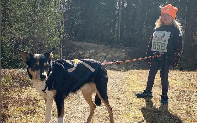 Barn som springer med hund
